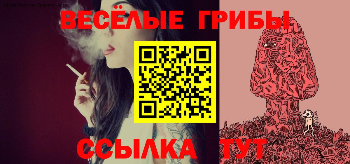 Псилоцибиновые грибы GOLDEN TEACHER  Вход с VPN  Галлюциногенные грибы MAGIC MUSHROOMS  Бахчисарай 