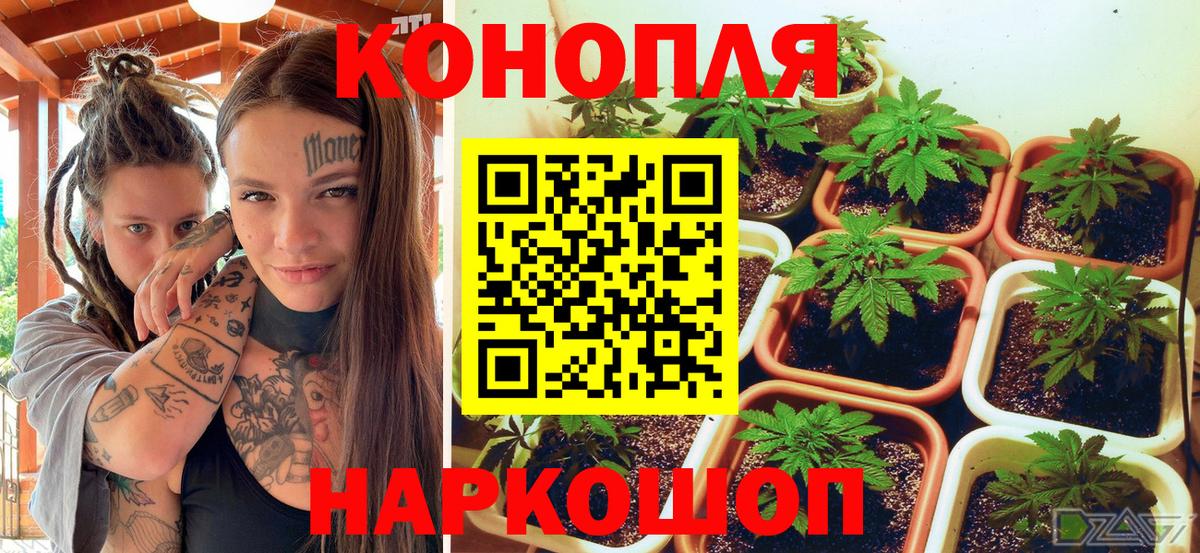 Шишки марихуана тримм Бахчисарай